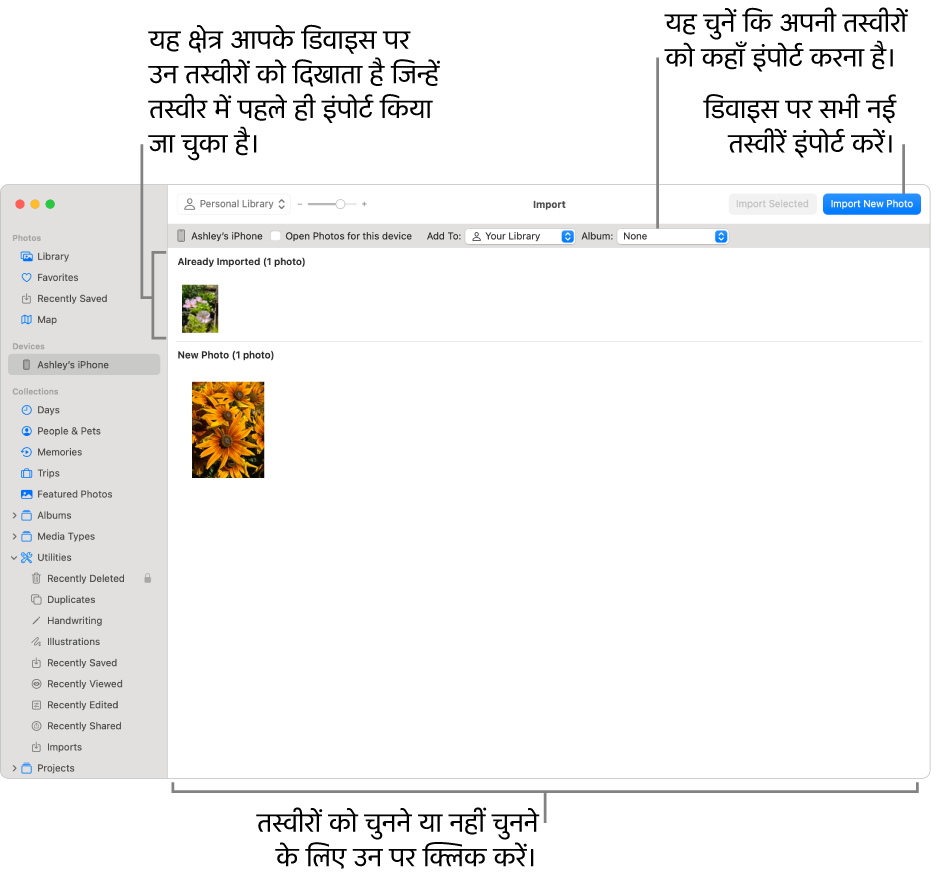 आपके द्वारा डिवाइस पर पहले से इंपोर्ट की गई तस्वीरें इंपोर्ट विंडो के शीर्ष पर दिखाई जाती हैं; नई तस्वीरें नीचे दिखाई जाती हैं। शीर्ष मध्य में ऐल्बम पॉप-अप मेनू है। “इंपोर्ट करें” बटन ऊपर दाईं ओर है।