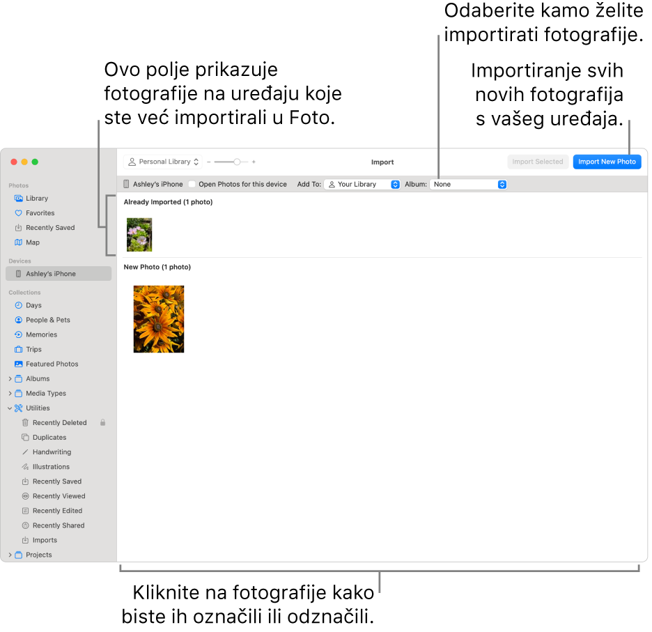 Aplikacija Foto na uređaju koji ste već importirali prikazana je na vrhu prozora Importiraj, a nove se fotografije nalaze na dnu. Na vrhu u središtu nalazi se skočni izbornik Album. Tipke za importiranje nalaze se u gornjem desnom kutu.