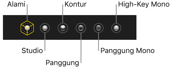 Pilihan efek pencahayaan mode potret, termasuk (dari kiri ke kanan) Alami, Studio, Kontur, Panggung, Panggung Mono, High-Key Mono.