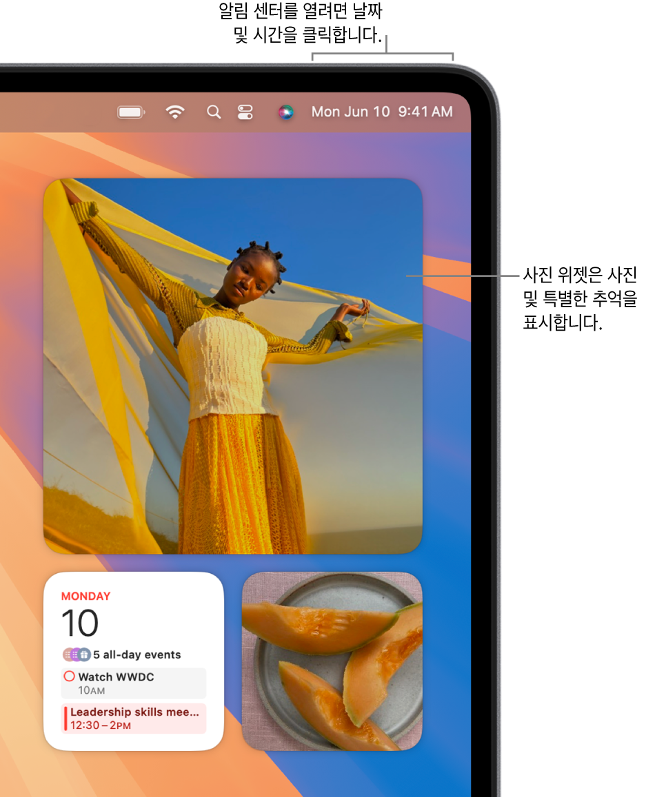 알림 센터의 사진 위젯.