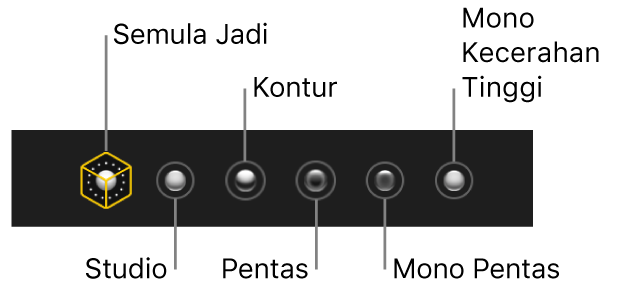 Pilihan kesan pencahayaan mod Potret, termasuk (dari kiri ke kanan) Semula Jadi, Studio, Kontur, Pentas, Pentas Mono dan Mono Kecerahan Tinggi.