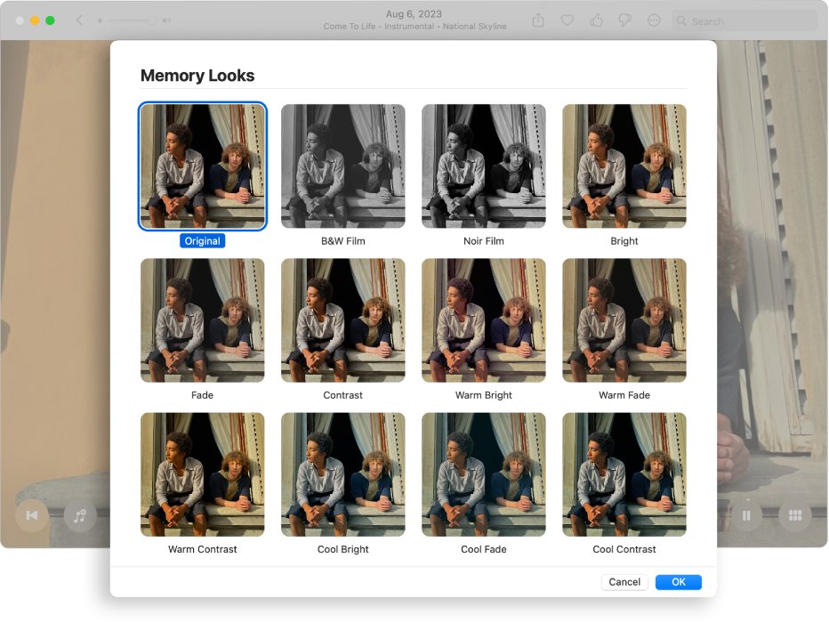 Fereastra Poze afișând aspectele pe care le puteți aplica articolelor dintr‑o amintire.