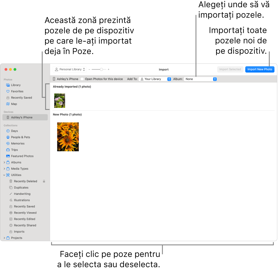 Pozele de pe dispozitiv pe care le‑ați importat deja sunt afișate în partea de sus a ferestrei Importate; pozele noi sunt în partea de jos. Sus, în mijloc, se află meniul pop‑up Album. Butoanele pentru import se află în dreapta sus.