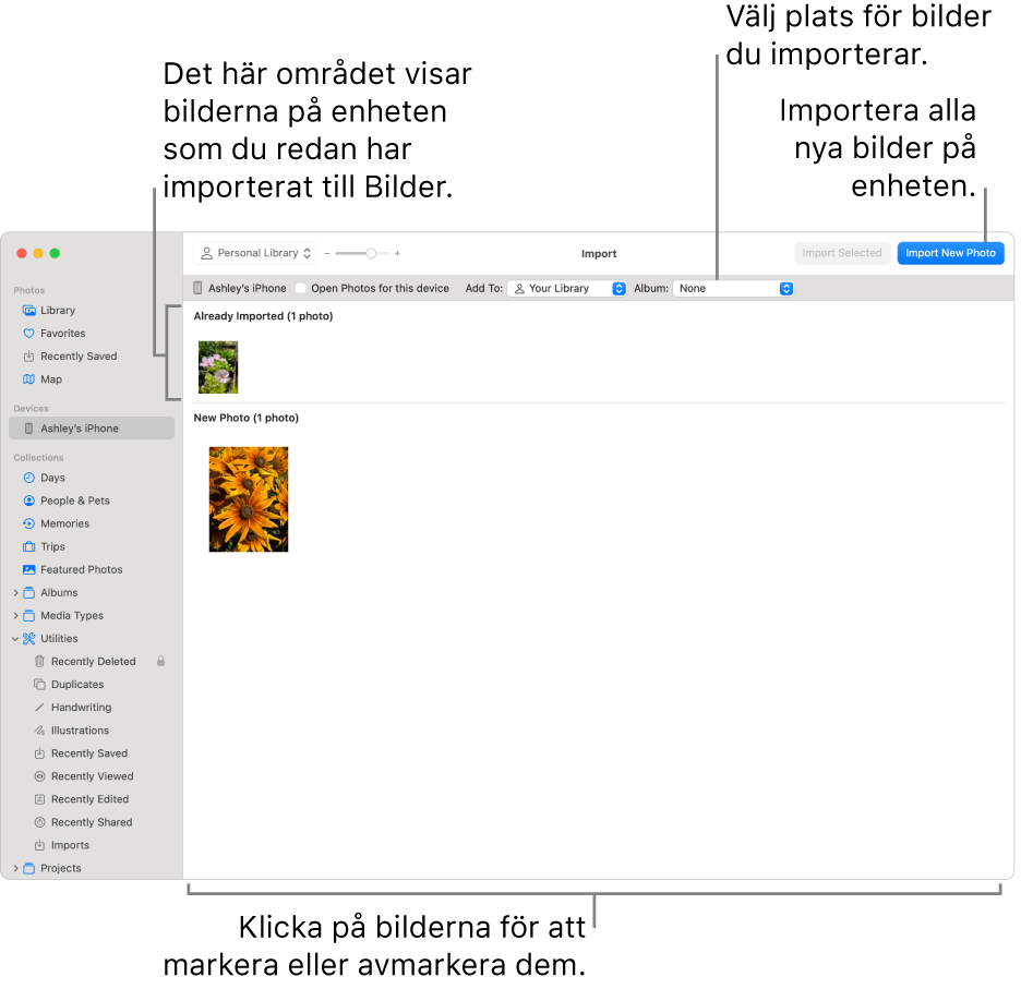 Bilder på enheten som du redan har importerat visas högst upp i importfönstret och nya bilder visas längst ned. Högst upp i mitten finns popupmenyn Album. Importknapparna finns högst upp till höger.