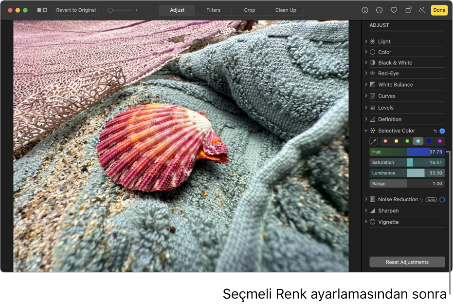Seçmeli renk ayarlamasından sonraki fotoğrafta, yüze ve arka plana daha sıcak bir görünüm vermek için kırmızı doygunluğunda bir artış gösteriliyor.