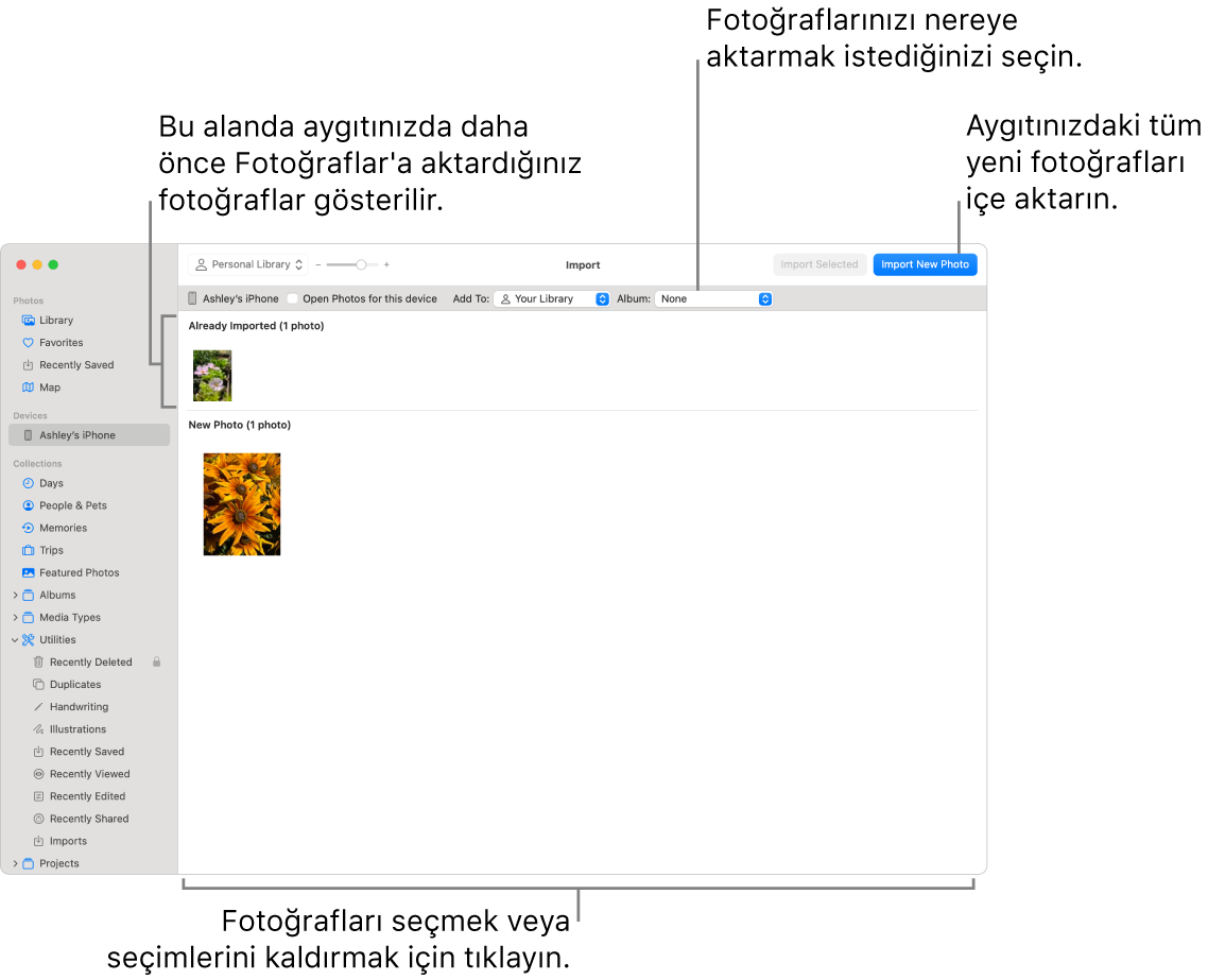 Aygıtta önceden içe aktardığınız fotoğraflar İçe Aktarma penceresinin en üstünde gösterilir; yeni fotoğraflar ise alttadır. Üst ortada Albüm açılır menüsü var. İçe aktarma düğmeleri sağ üsttedir.