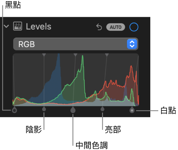 「調整」面板中的色階控制項目，顯示 RGB 色階分佈圖，其下方的控點由左至右包括黑點、陰影、中間色調、亮部和白點。