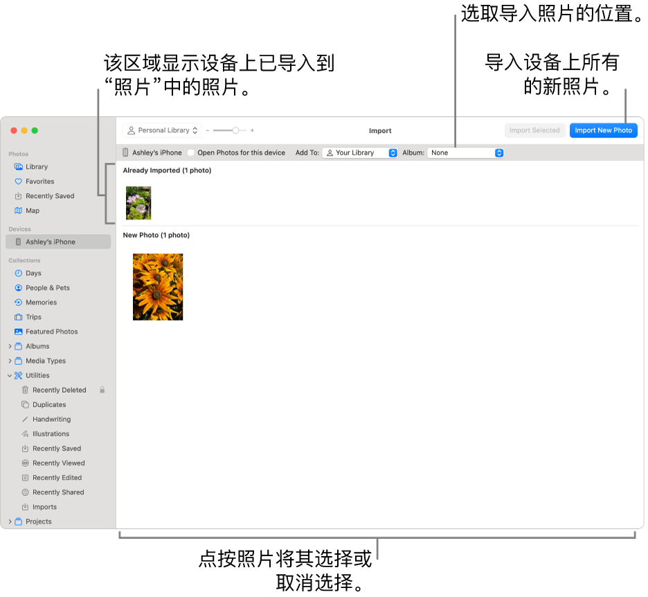 已经导入设备中的照片显示在“导入”窗口的顶部；新照片显示在底部。中间顶部是“相簿”弹出式菜单。右上方是“导入”按钮。