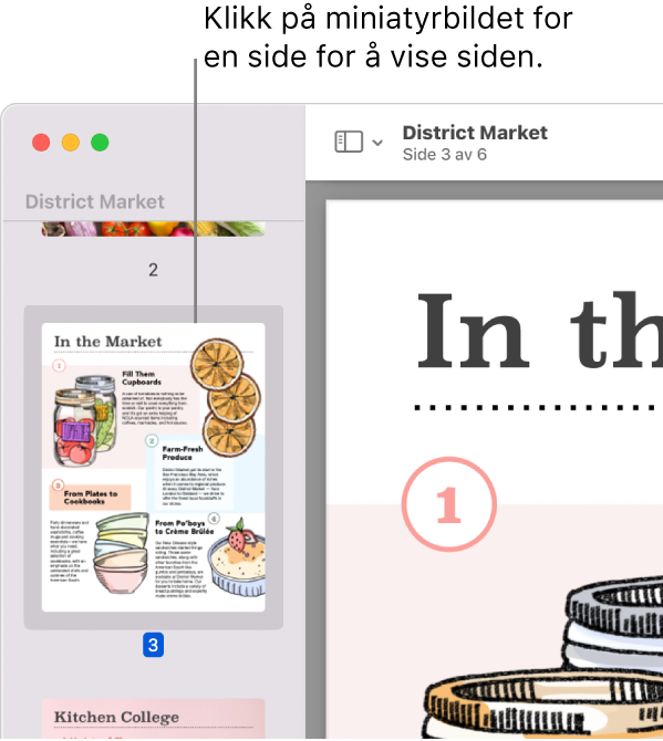 En PDF med miniatyrbilder i sidepanelet.