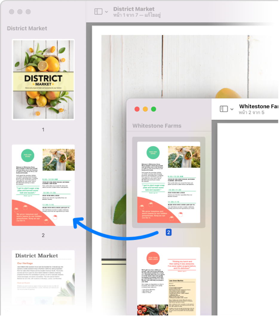 รูปย่อของหน้าถูกลากจากแถบด้านข้างของ PDF ไฟล์หนึ่งไปยังอีกแถบด้านข้างของไฟล์อื่น