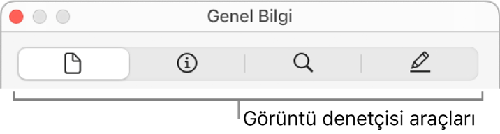 Görüntü denetçisi araçları.