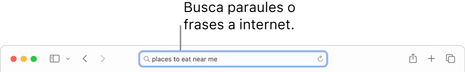 El camp de cerca intel·ligent del Safari, on pots introduir les paraules i frases que vols buscar a internet.