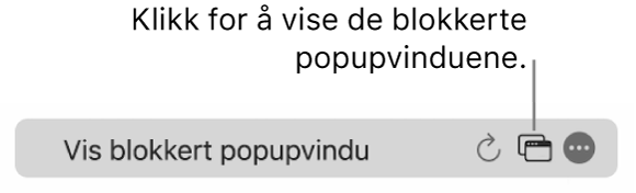Det smarte søkefeltet med et symbol for å vise blokkerte popupvinduer.