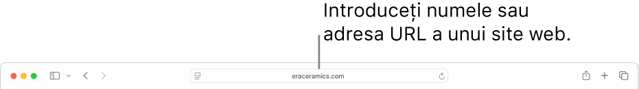 Câmpul de căutare inteligentă Safari, unde puteți introduce numele sau adresa URL a unui site web.