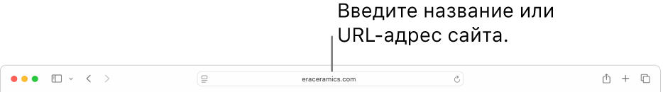 Поле смарт-поиска Safari, в котором можно ввести название или URL-адрес веб-сайта.