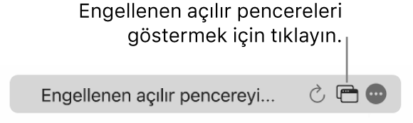 Engellenen açılır pencereleri gösteren bir simge ile akıllı arama alanı.