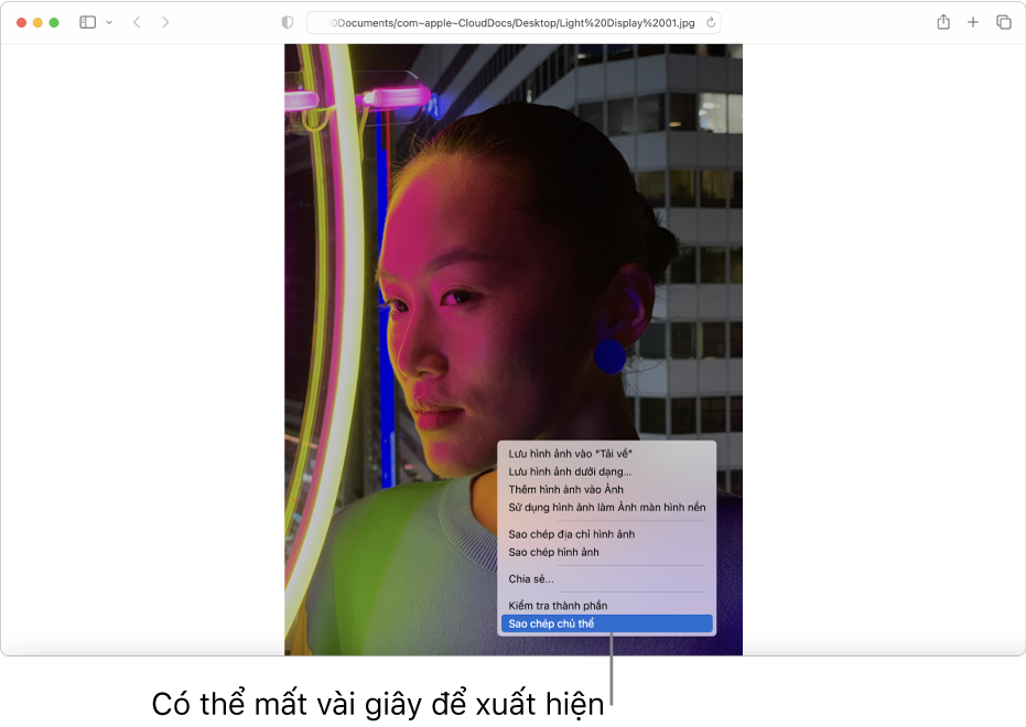 Một hình ảnh trong Safari về một người với những ánh đèn và một tòa nhà trong nền.