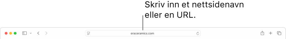Det smarte søkefeltet i Safari, der du kan skrive inn nettstedets navn eller URL.