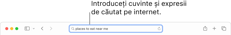 Câmpul de căutare inteligentă din Safari, unde puteți introduce cuvinte și expresii de căutat pe internet.