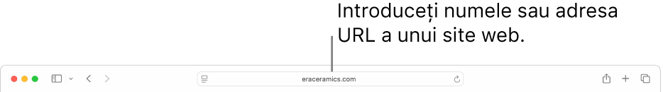 Câmpul de căutare inteligentă situat în mijlocul barei de instrumente Safari.