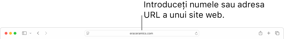 Câmpul de căutare inteligentă Safari, unde puteți introduce numele sau adresa URL a unui site web.