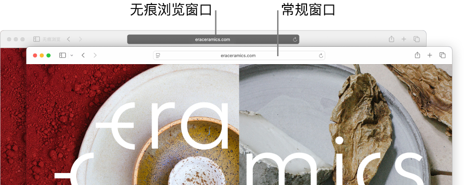 Safari 浏览器的无痕浏览窗口，包含深色的智能搜索栏；常规的 Safari 浏览器窗口，包含浅色的智能搜索栏。