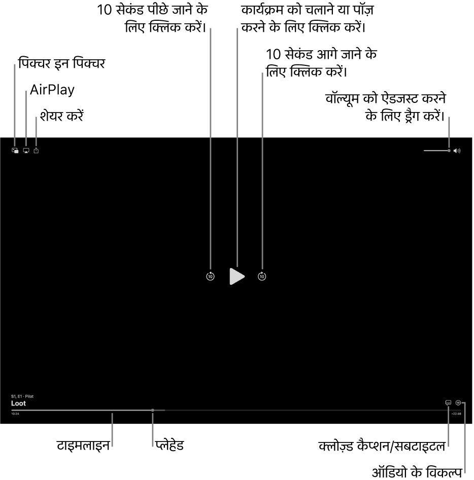 व्यूअर में प्लेबैक नियंत्रण, जिसमें चलाने या पॉज़ करने, आगे या पीछे स्किप करने और वॉल्यूम ऐडजस्ट करने के बटन शामिल हैं।