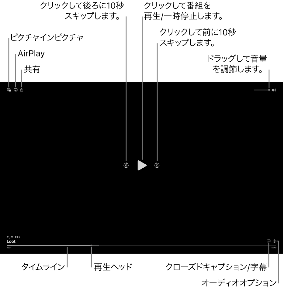 ビューアの再生コントロール。再生または一時停止、前後にスキップする、音量を調整するといった操作を行うためのボタンが含まれています。
