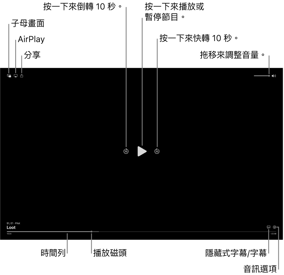 檢視器中的播放控制項目,包含播放或暫停、跳到下一段或上一段和調整音量的按鈕。