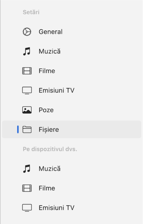 Bara laterală afișând opțiunea Fișiere selectată.