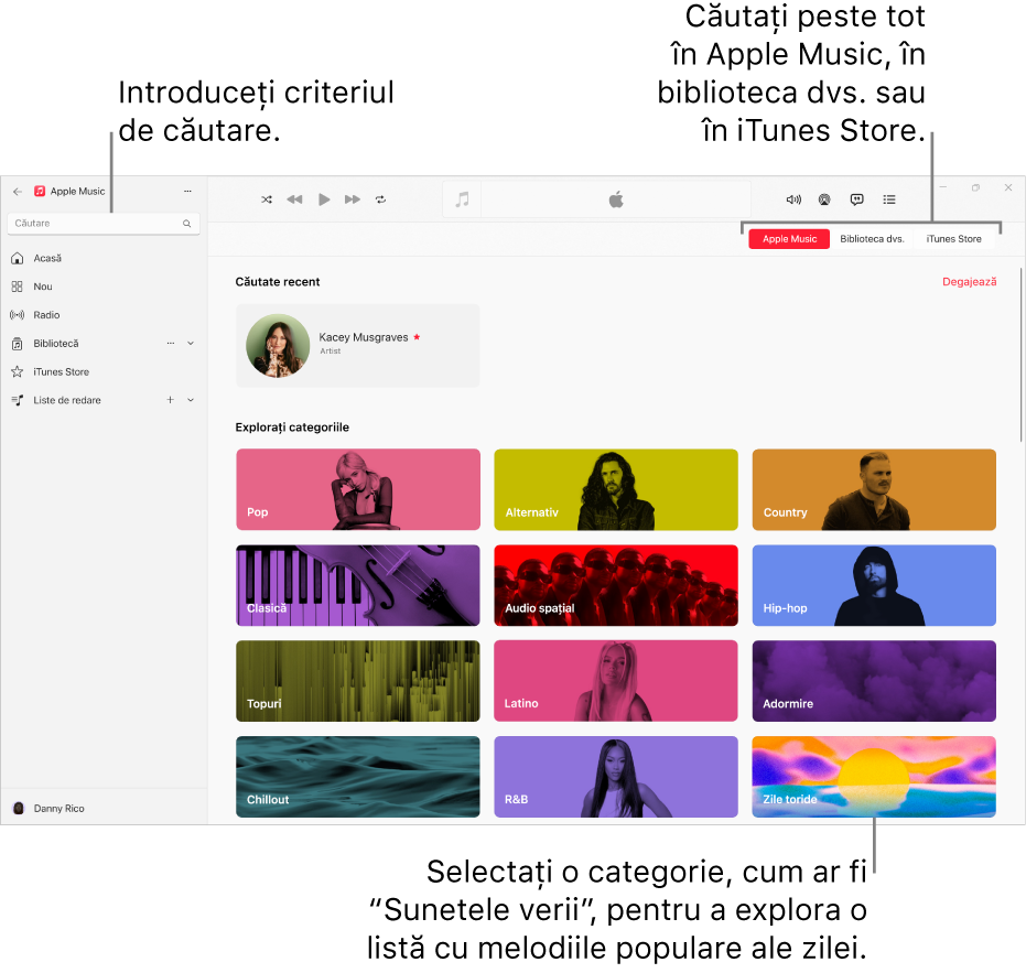Fereastra Apple Music afișând câmpul de căutare în colțul din stânga sus, lista de categorii în centrul ferestrei și butoanele Apple Music, Biblioteca dvs. și iTunes Store din colțul din dreapta sus.