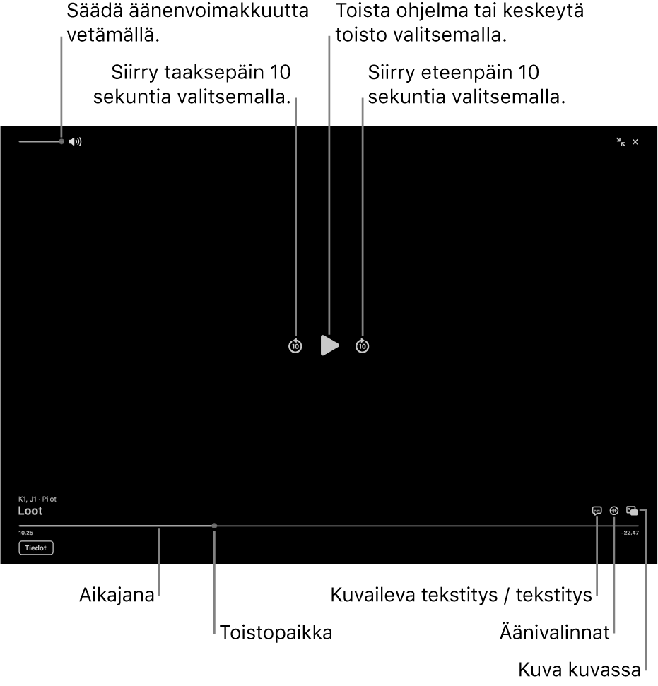 Toistosäätimet katseluikkunassa. Säätimissä on painikkeet toistolle tai keskeytykselle, eteenpäin tai taaksepäin siirtymiselle ja äänenvoimakkuuden säätämiselle.