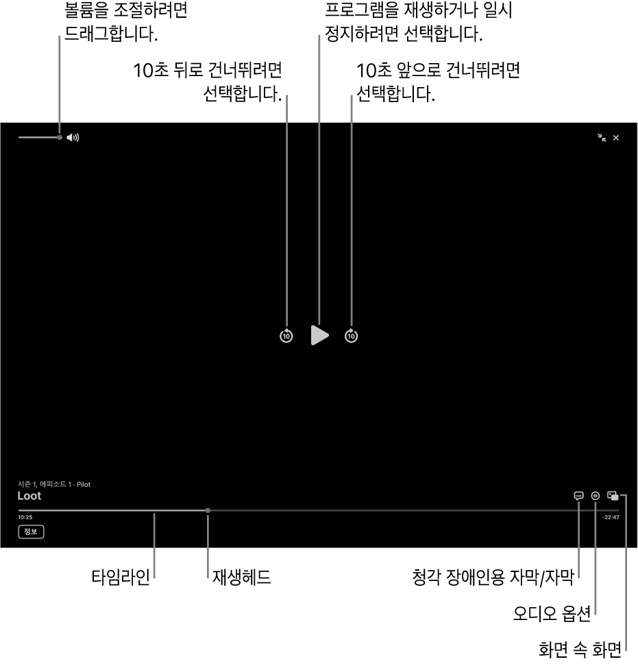 재생 또는 일시 정지, 앞으로 또는 뒤로 건너뛰기 및 볼륨 조절 버튼이 포함된 뷰어의 재생 제어기.