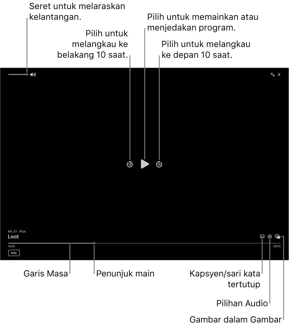 Kawalan main balik dalam pemapar, termasuk butang untuk memainkan atau menjeda, melangkau ke depan atau ke belakang dan melaraskan kelantangan.