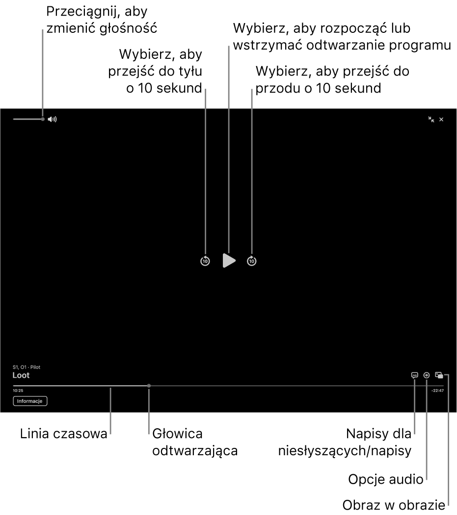 Narzędzia odtwarzania w oknie wyświetlania. Widoczne są przyciski umożliwiające włączanie lub wstrzymywanie odtwarzania, przewijanie do przodu i do tyłu oraz regulowanie głośności.