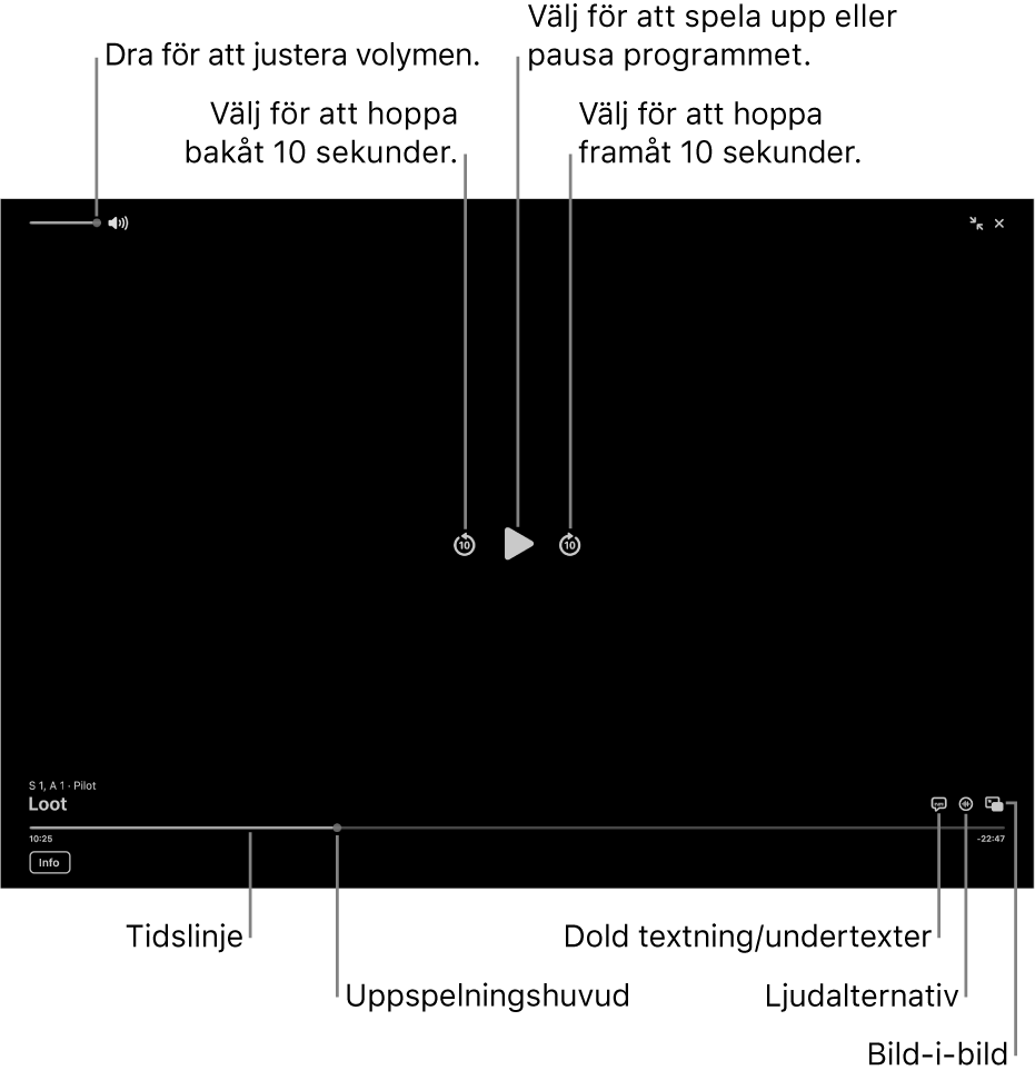 Uppspelningsreglagen i visningsfönstret innehåller knappar för att spela upp eller pausa, hoppa framåt eller bakåt och justera volymen.