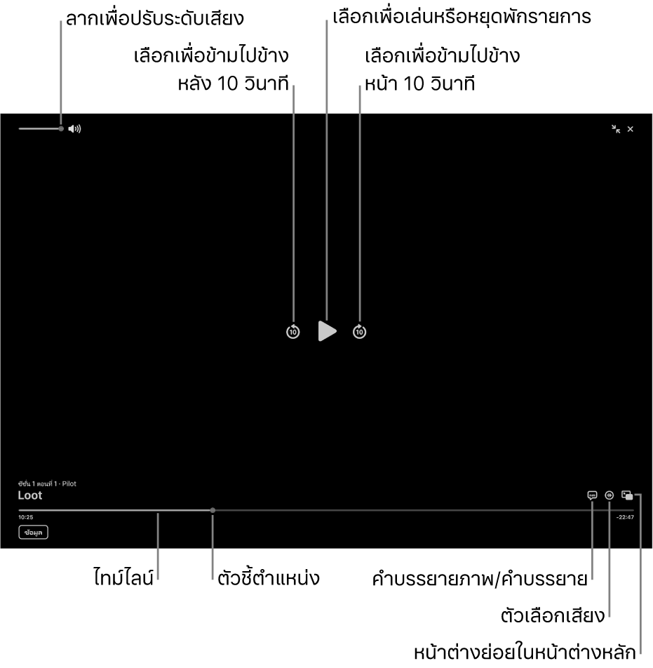 ตัวควบคุมการเล่นในหน้าต่างแสดงซึ่งรวมถึงปุ่มต่างๆ สำหรับเล่นหรือหยุดพัก ข้ามไปข้างหน้าหรือข้ามไปข้างหลัง และปรับระดับเสียง