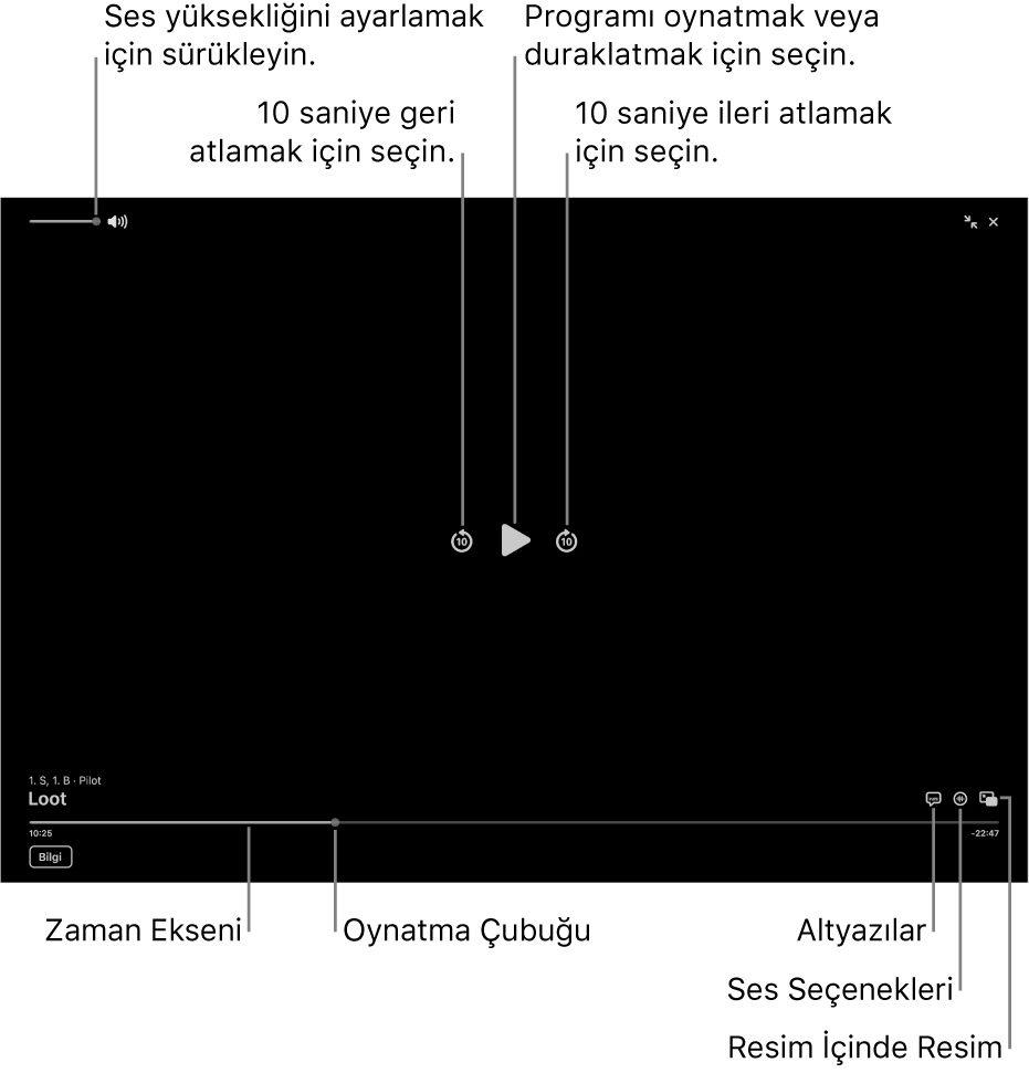 Oynatma veya duraklatma, ileri veya geri atlama ve ses yüksekliğini ayarlama düğmeleri ile birlikte görüntüleyicideki oynatma denetimleri.