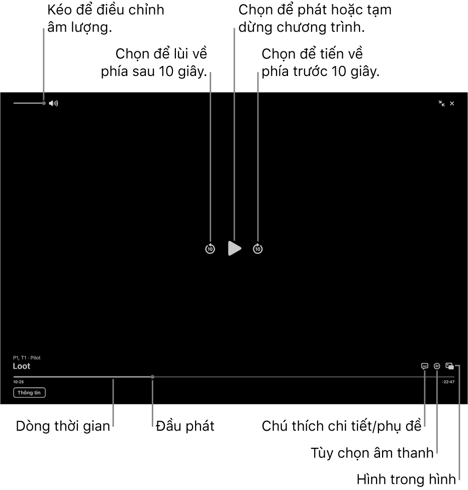 Các điều khiển phát lại trong trình xem, bao gồm các nút để phát hoặc tạm dừng, tiến về trước hoặc lùi về sau và điều chỉnh âm lượng.