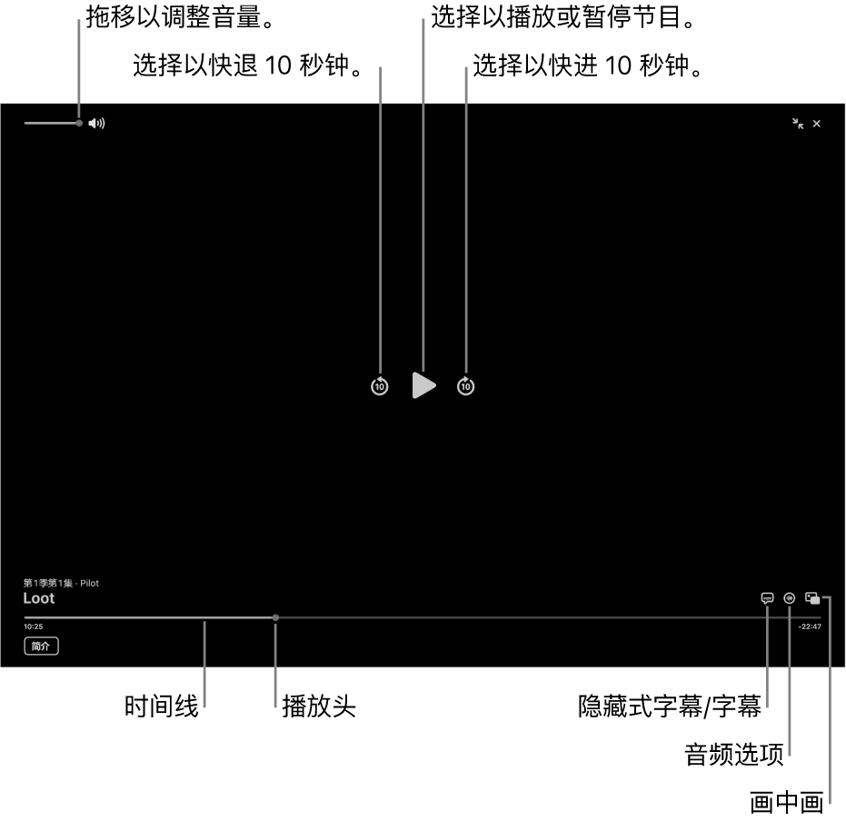 查看器中的播放控制包括用于播放或暂停、快进或快退和调整音量的按钮。