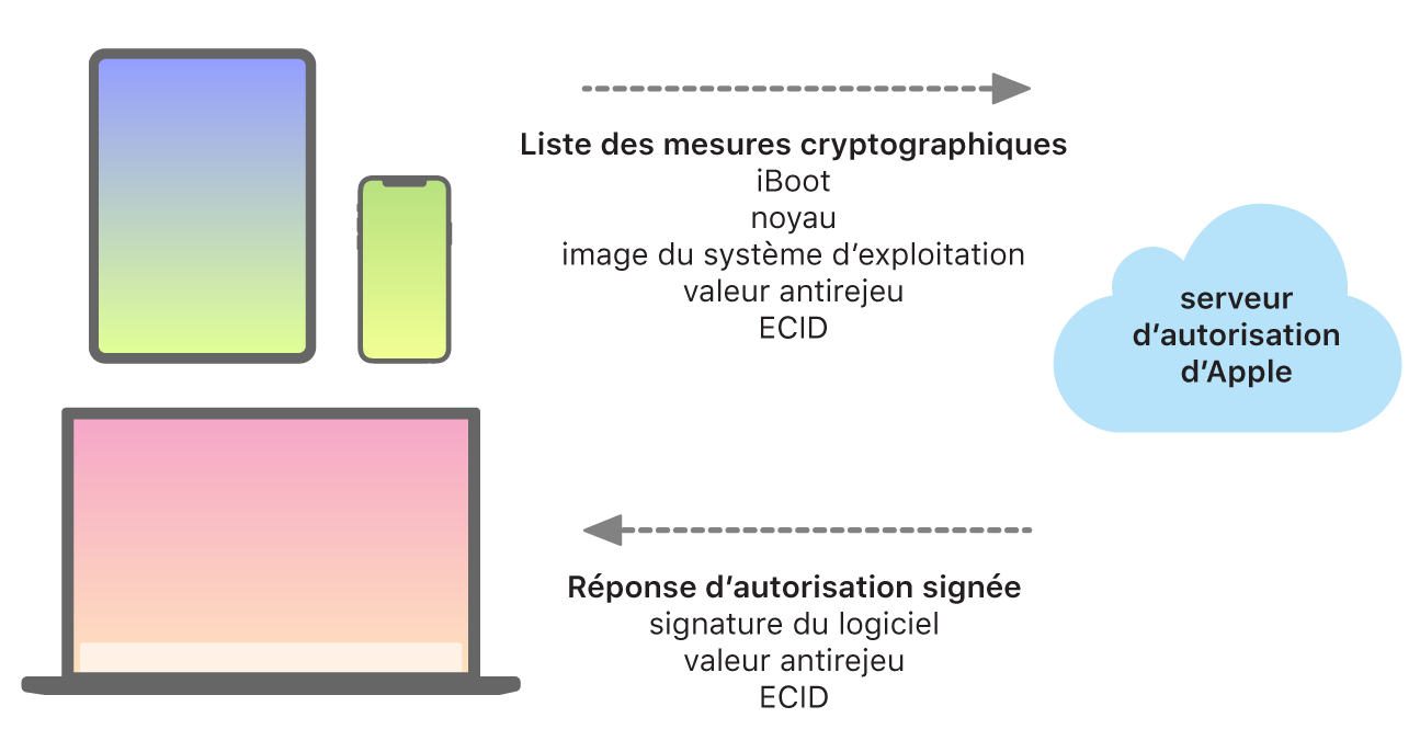 Un diagramme qui illustre comment les appareils Apple envoient des informations au serveur d’autorisation Apple, qui renvoie ensuite une réponse.