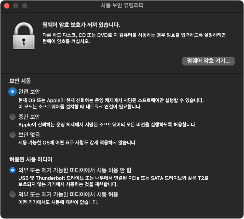 ‘보안 시동’ 섹션 아래의 세 개의 보안 옵션 및 ‘허용된 시동 미디어’ 아래의 두 개의 보안 옵션 펌웨어 다음에 있는 암호 보호에 대한 메모를 표시하는 시동 보안 유틸리티 윈도우.