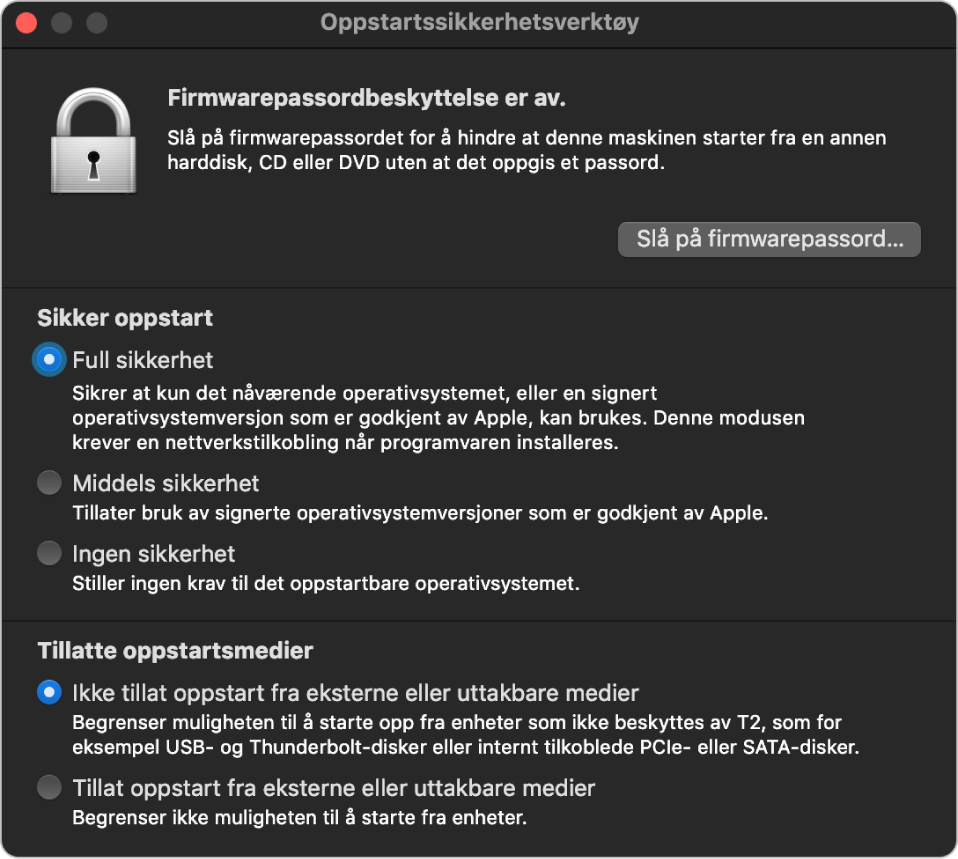 Vinduet for Oppstartssikkerhetsverktøy, som viser en melding om firmwarepassordbeskyttelse, etterfulgt av tre sikkerhetsvalg under «Sikker oppstart» og to sikkerhetsvalg under «Tillatte oppstartsmedier».