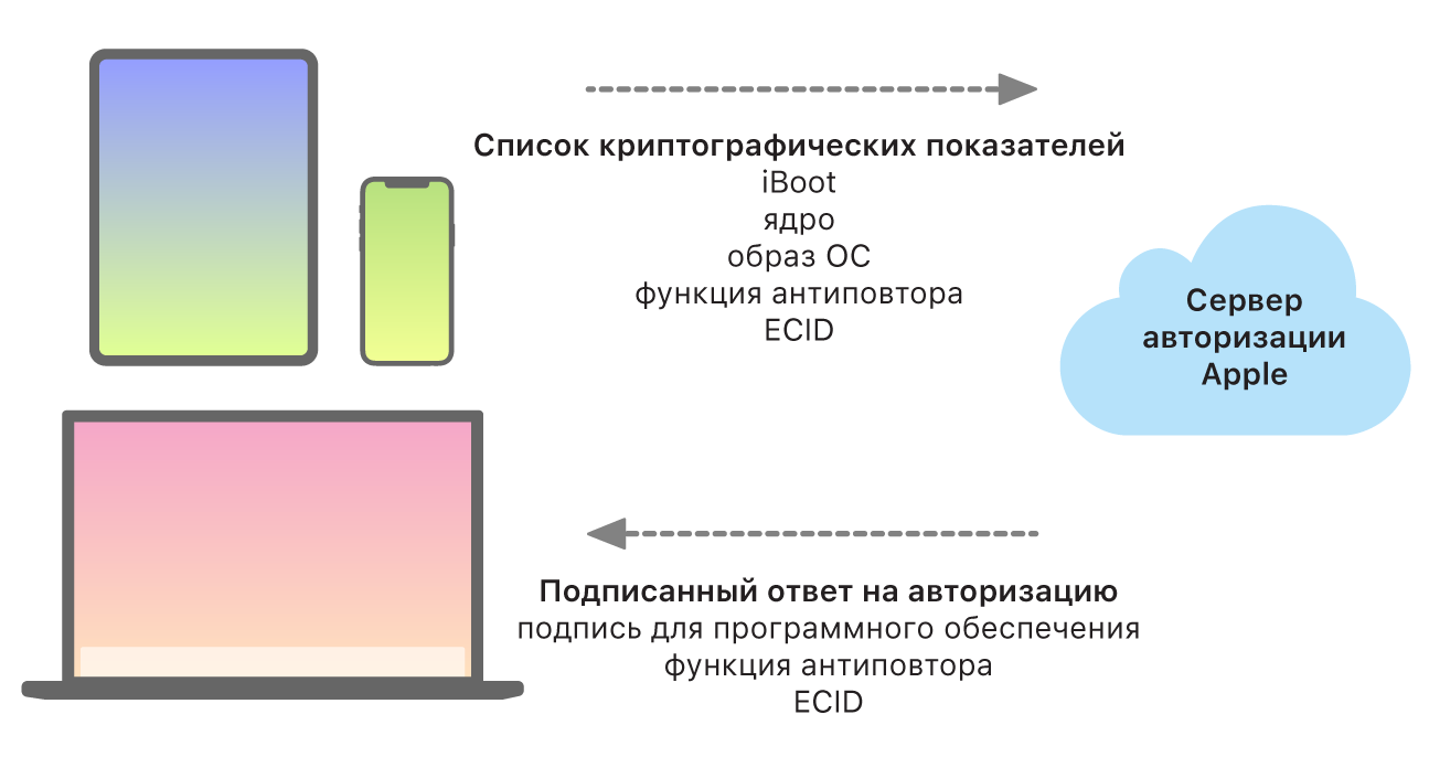 Блок-схема, на которой показано, как устройства Apple отправляют информацию на сервер авторизации Apple, который в свою очередь отправляет обратно ответ.