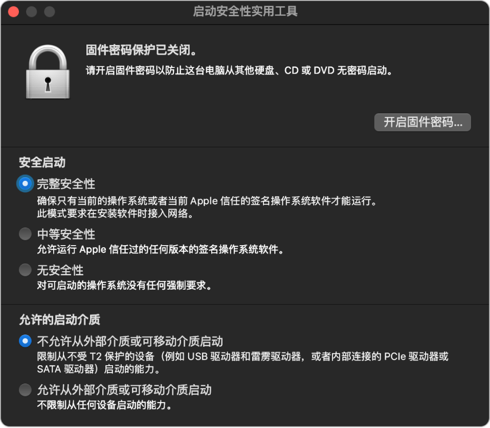 “启动安全性实用工具”窗口显示有关固件密码保护的备注，后面“安全启动”部分下方有三个安全性选项，“允许的启动介质”部分下方有两个安全性选项。