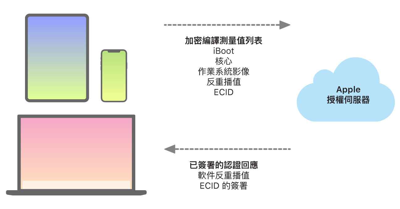 顯示 Apple 裝置如何將資料傳送到 Apple 授權伺服器的圖表,該伺服器會依次傳回回應。