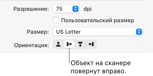 Кнопки ориентации в окне «Сканер». Выделенная кнопка означает, что объект на сканере повернут вправо.