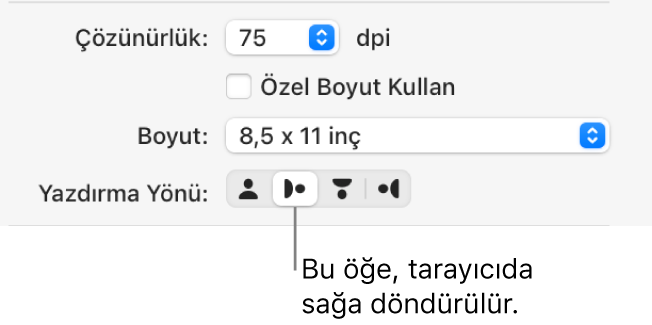 Tarayıcı penceresindeki Yazdırma Yönü düğmeleri. Vurgulanmış bir düğme, öğenin tarayıcıda sağa döndürüldüğünü belirtir.
