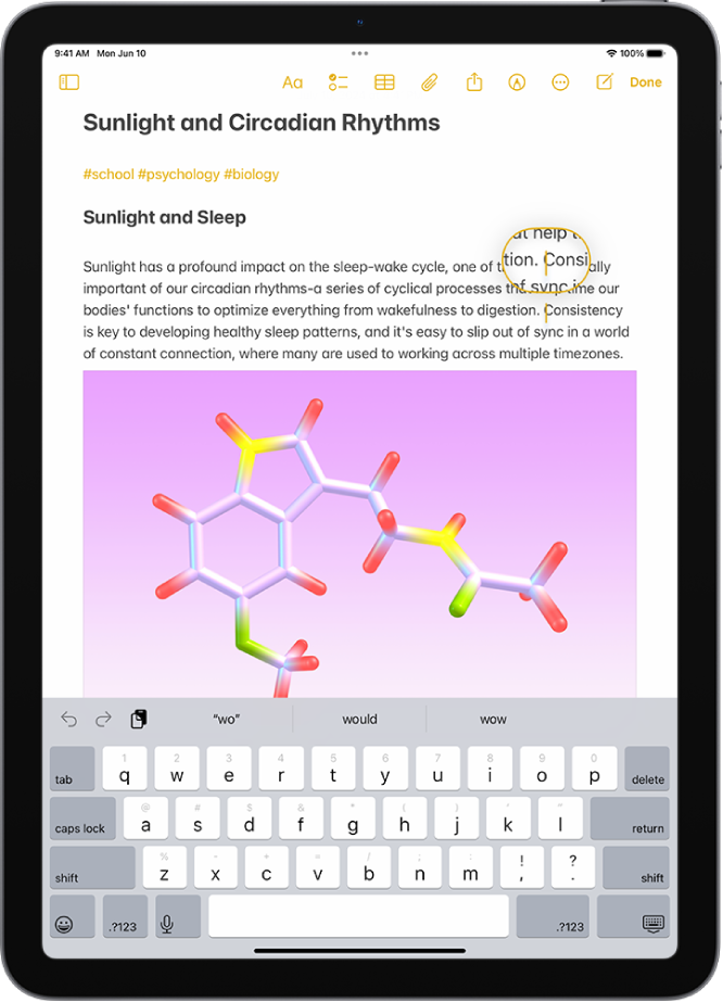 Select, cut, copy, and paste text on iPad - Apple Support