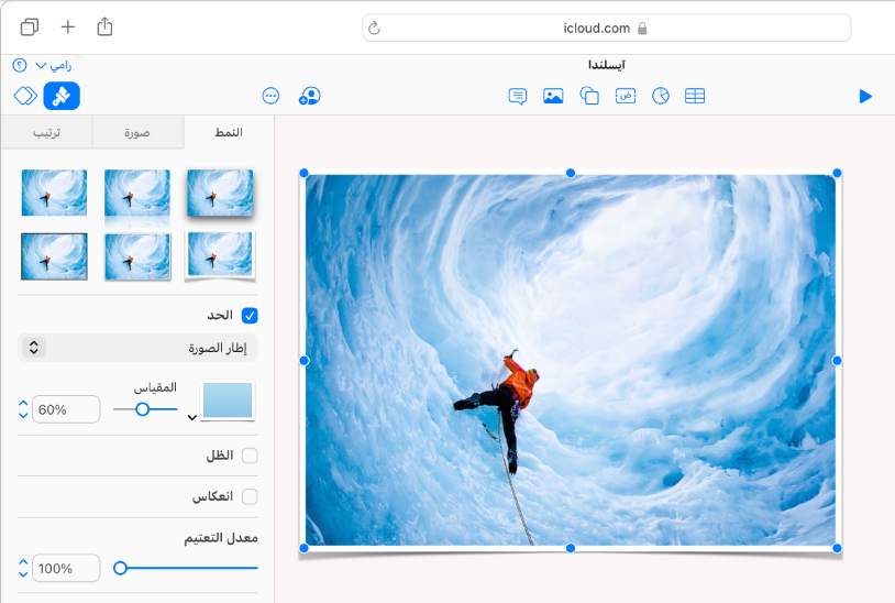 تحتوي الصورة المحددة على الشريحة على حد إطار صورة، وتفتح علامة التبويب "نمط" في الشريط الجانبي "التنسيق" مع تحديد إطار صورة من قائمة الحدود.